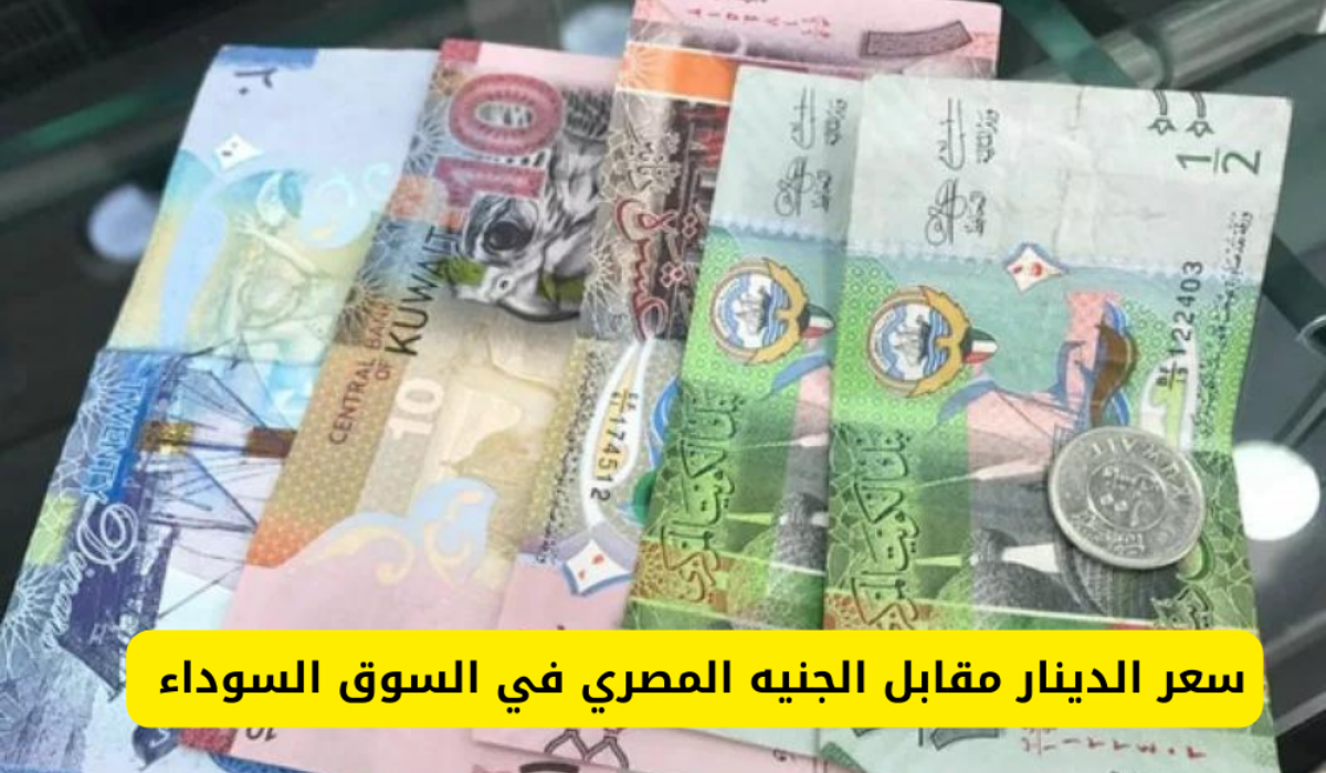 سعر الدينار مقابل الجنيه