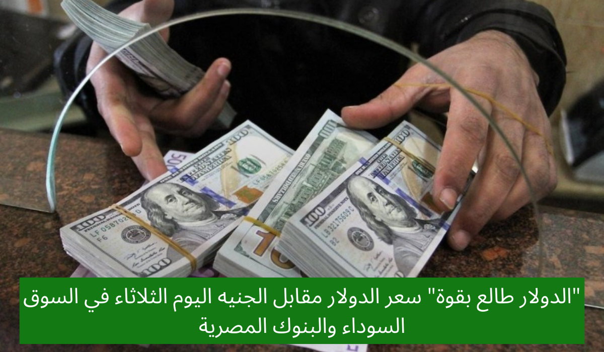 سعر الدولار مقابل الجنيه اليوم