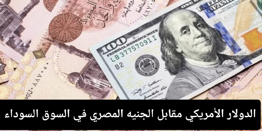 سعر الدولار اليوم مقابل الجنيه المصري