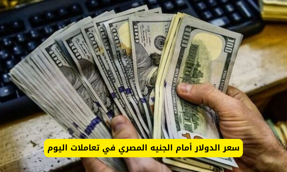 سعر الدولار اليوم مقابل الجنيه المصري