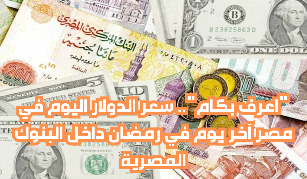 سعر الدولار اليوم في مصر