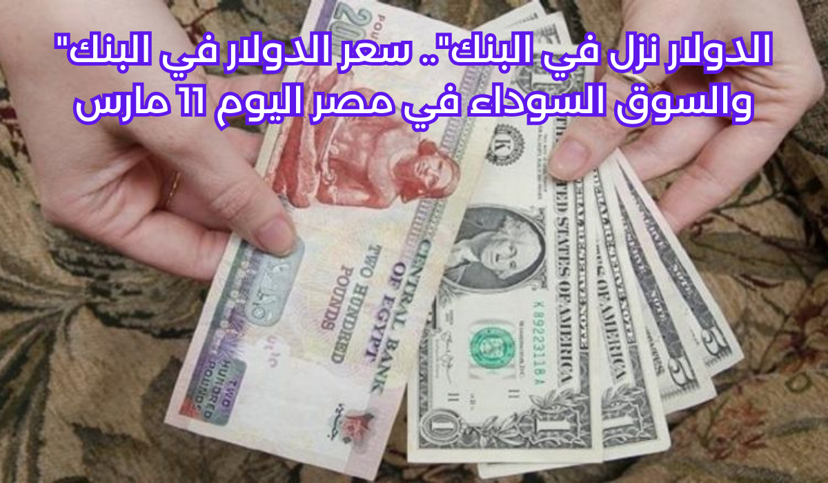 سعر الدولار في البنك