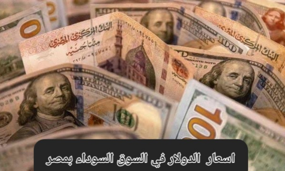 سعر الدولار اليوم مقابل الجنيه المصري