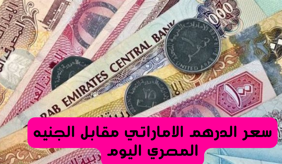 سعر الدرهم مقابل الجنيه المصري اليوم 