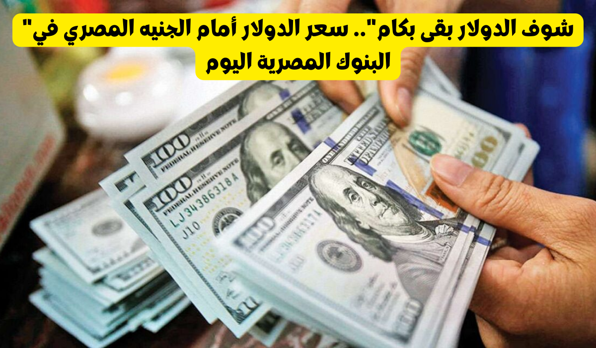 سعر الدولار مقابل الجنيه المصري