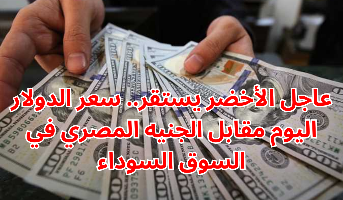 سعر الدولار اليوم مقابل الجنيه