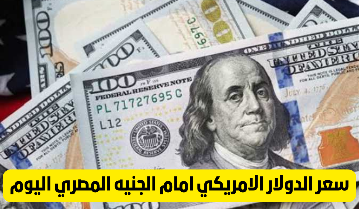 سعر الدولار اليوم مقابل الجنيه المصري