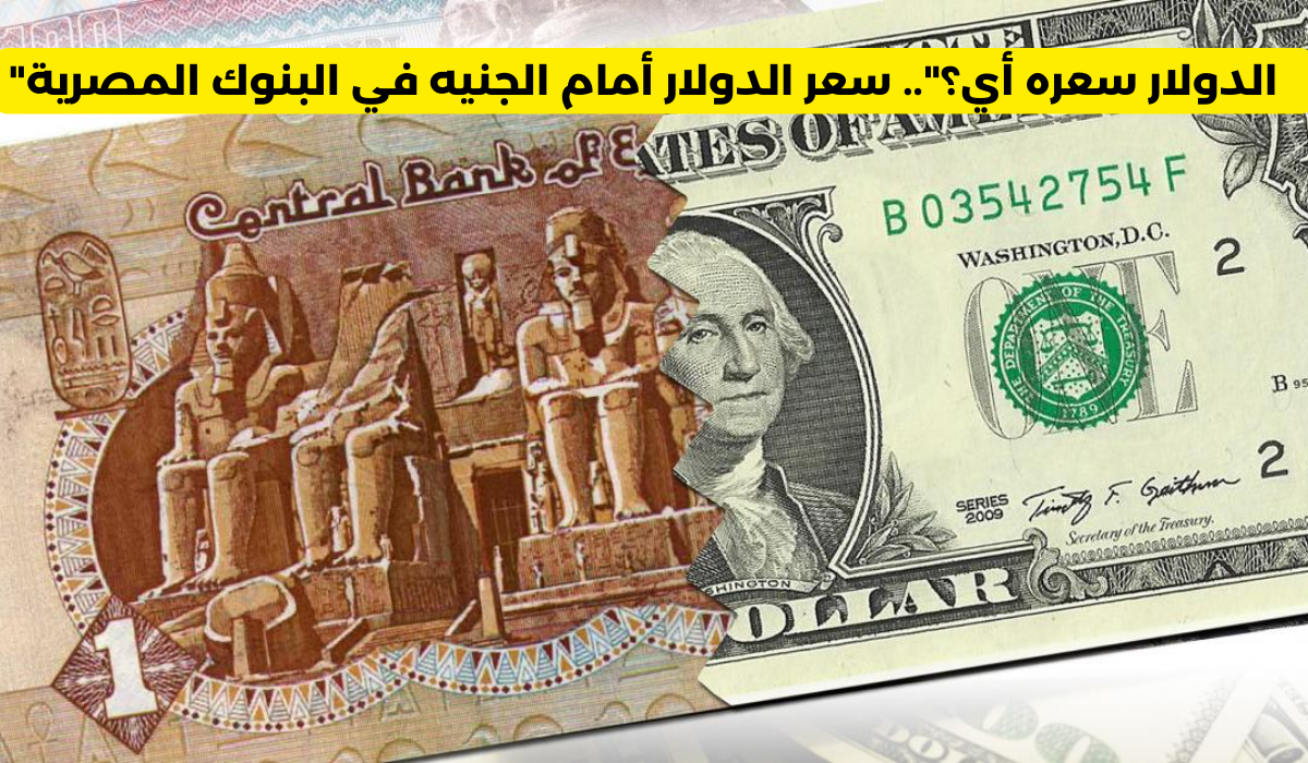 سعر الدولار أمام الجنيه