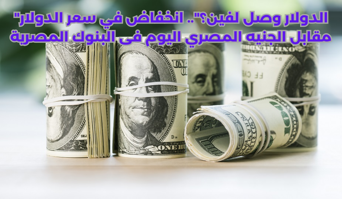 سعر الدولار مقابل الجنيه المصري