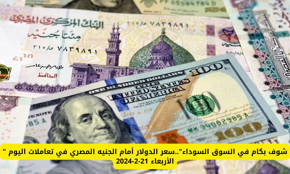 سعر الدولار أمام الجنيه المصري