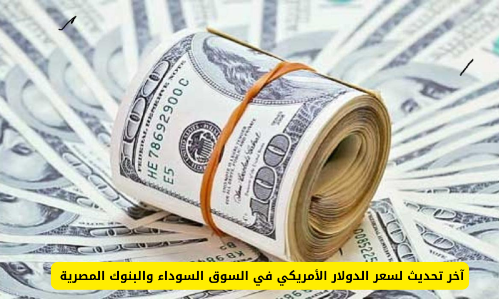 سعر الدولار مقابل الجنيه المصري اليوم