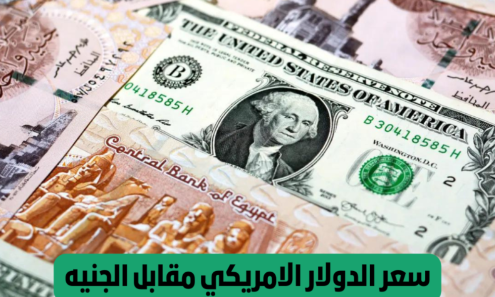 سعر الدولار الأمريكي في السوق السوداء