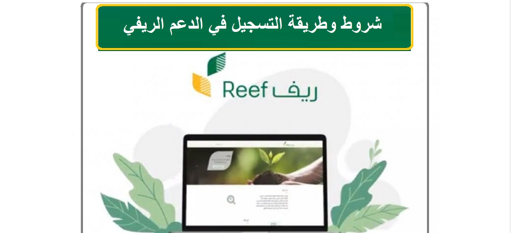 كم مبلغ دعم ريف للمستفيدين وربات البيوت