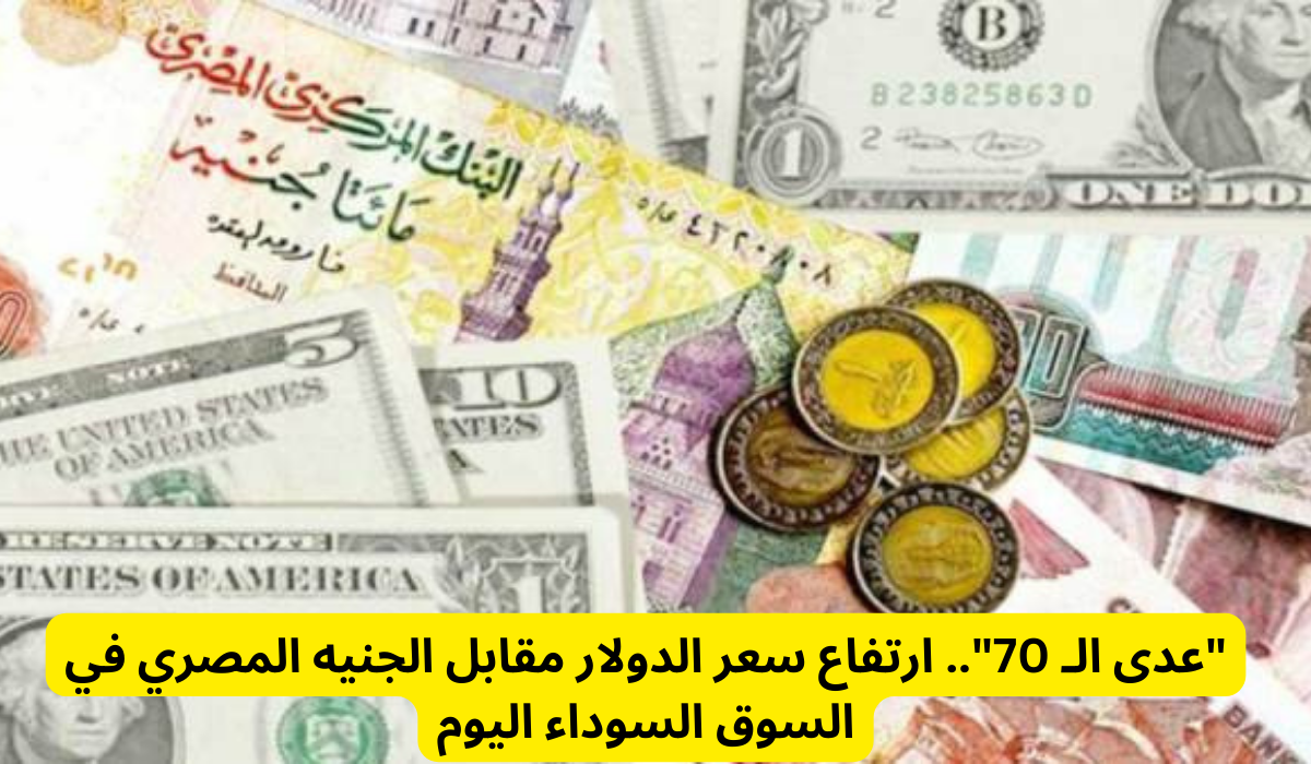 سعر الدولار مقابل الجنيه المصري 