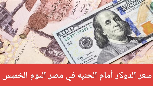 سعر الدولار اليوم في مصر 2024