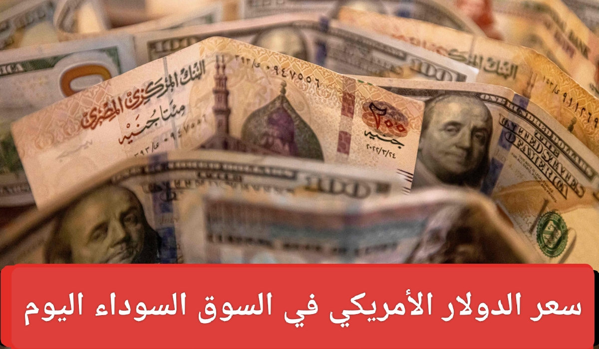 سعر الدولار الأمريكي اليوم في البنوك