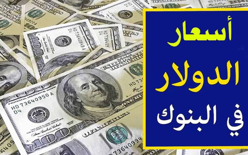 سعر الدولار مقابل الجنيه اليوم